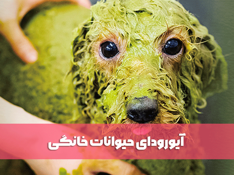 آیورودای حیوانات خانگی